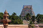 The great Chola temples of Tamil Nadu - The Sri Ranganatha Temple of Srirangam. Views from the roof of the mandapa. 